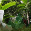 Thailand Mountain Trail Hikking Trails, Trekking Trips, & Running Tours Thailand Header 0194