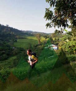 Thailand Mountain Trail Hikking Trails, Trekking Trips, & Running Tours Thailand Header 0295
