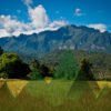Thailand Mountain Trail Hikking Trails, Trekking Trips, & Running Tours Thailand Header S1