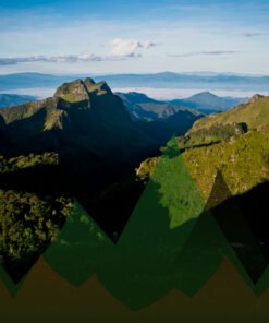 Thailand Mountain Trail Hikking Trails, Trekking Trips, & Running Tours Thailand Header S78