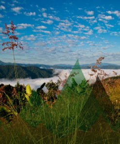 Thailand Mountain Trail Hikking Trails, Trekking Trips, & Running Tours Thailand Running 02 01