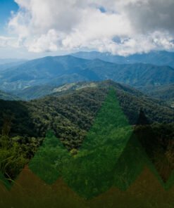 Thailand Mountain Trail Hikking Trails, Trekking Trips, & Running Tours Thailand Running 03 01