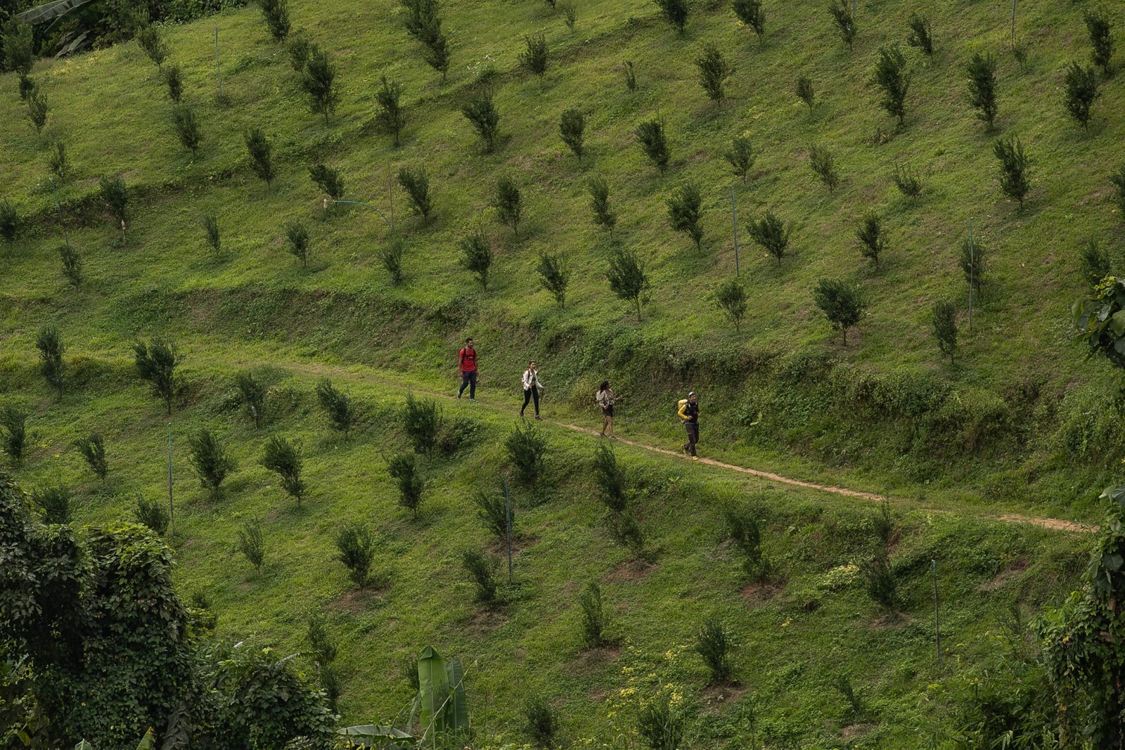 Sentiers de randonnée en montagne en Thaïlande, circuits de trekking et parcours de course à pied en Thaïlande – Capture d'écran