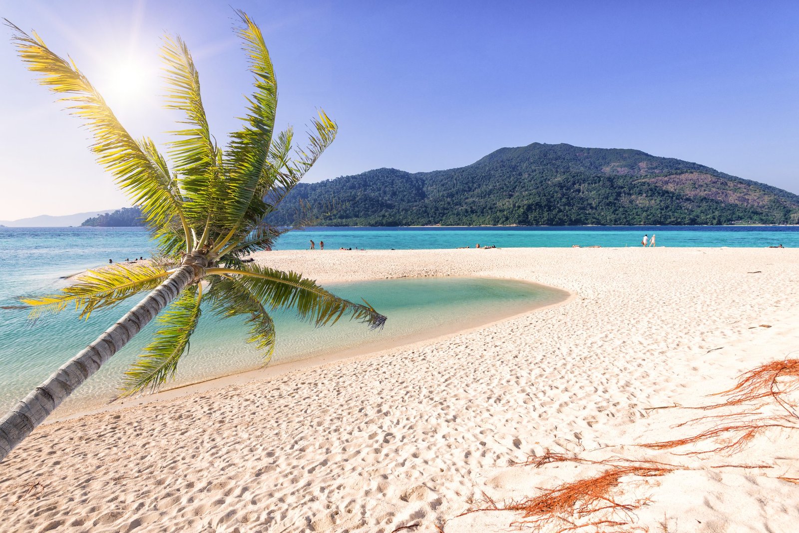 Thailand Mountain Trail Hikking Trails, Trekking Trips, & Running Tours Thailand The,coconut,palm,tree,on,the,white,sand,beach,sunrise,beach
